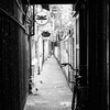 『トンボの路地』②