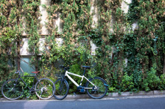 壁と自転車