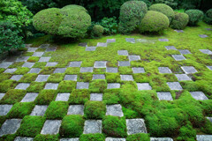 東福寺の市松　Ⅰ