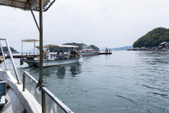 伊根湾のクルーズ船