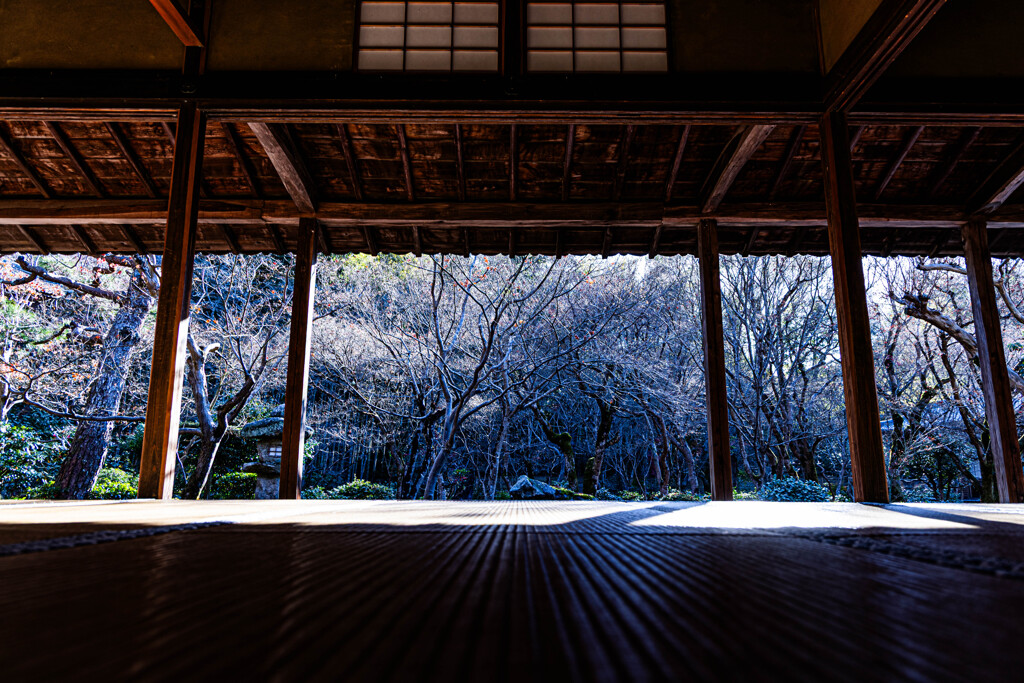圓光寺、紅葉散る頃　Ⅳ