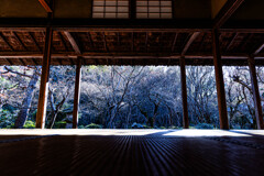 圓光寺、紅葉散る頃　Ⅳ