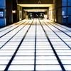 The WAY