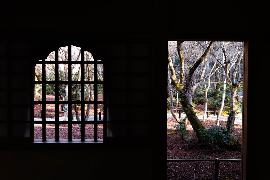 圓光寺、紅葉散る頃　Ⅶ