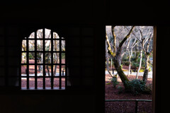 圓光寺、紅葉散る頃　Ⅶ