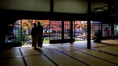 『晩秋の彩　Ⅱ』