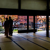 『晩秋の彩　Ⅱ』