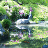 立夏の小川