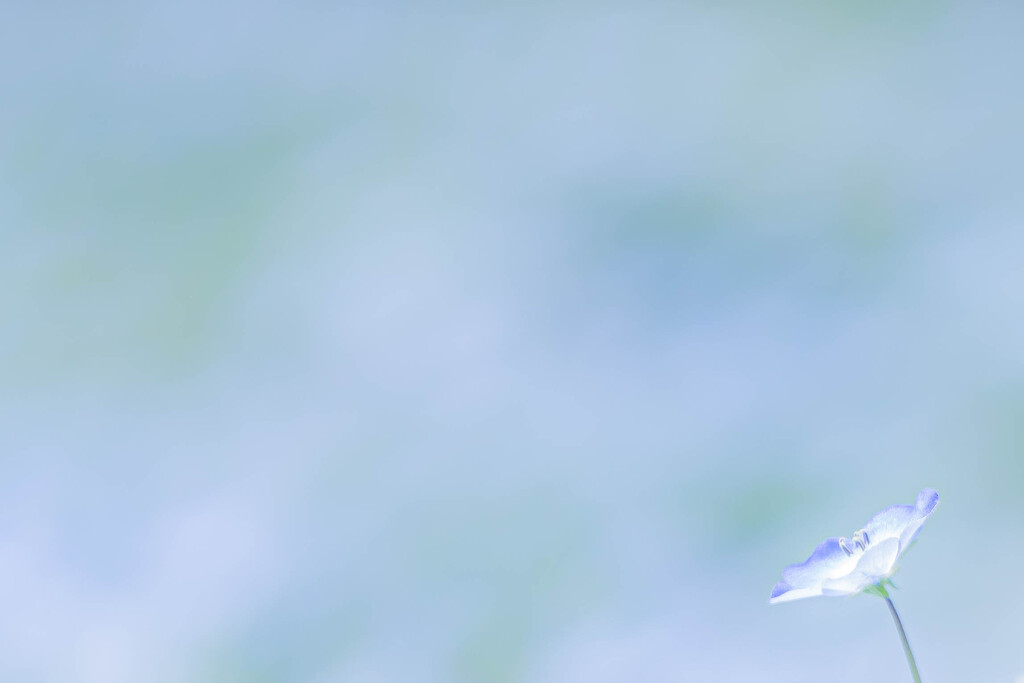 あなたをゆるします。