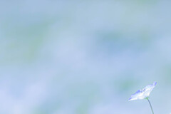 あなたをゆるします。