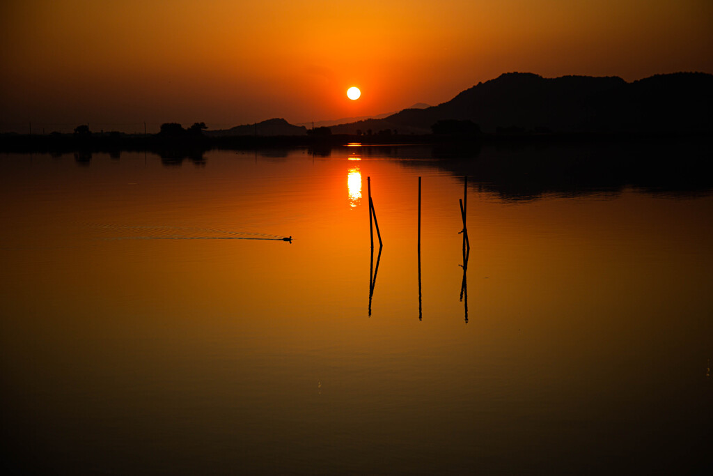 西の湖の夕暮れ　Ⅳ