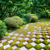 東福寺本坊庭園・北庭②