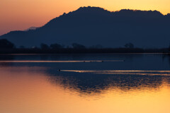 西の湖の夕景　Ⅵ
