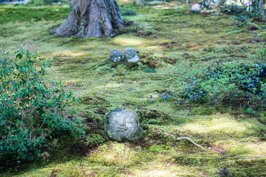 三千院の庭園で　Ⅳ