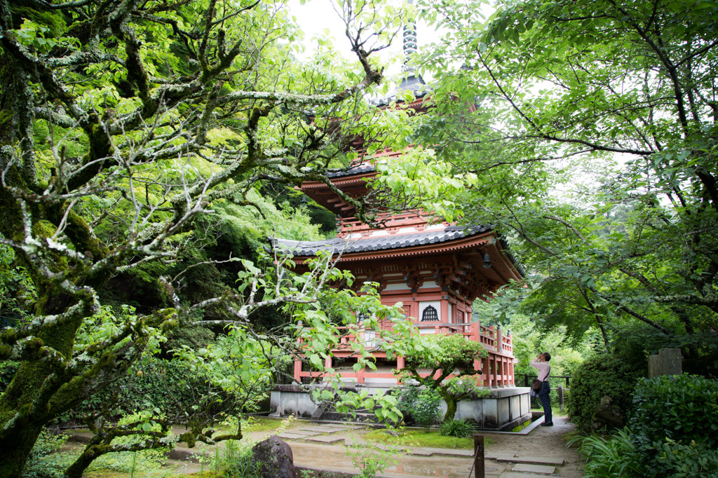 三室戸寺の塔