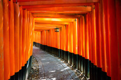 千本鳥居を進む　Ⅳ