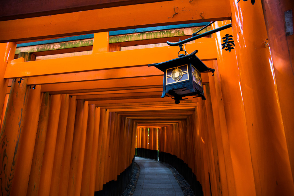 千本鳥居へようこそ。　Ⅲ