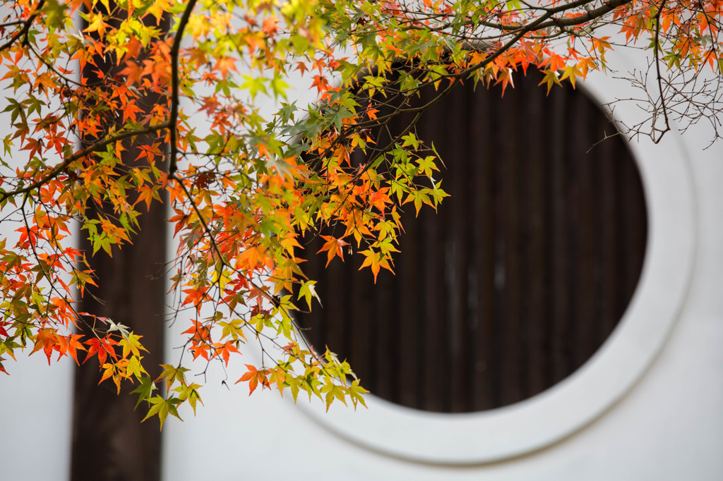 東福寺にて。