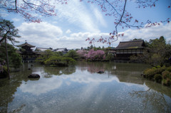 平安神宮神苑にて。　Ⅲ