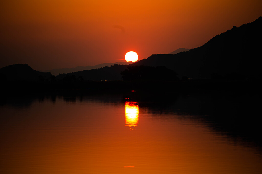 西の湖の夕暮れ　Ⅴ