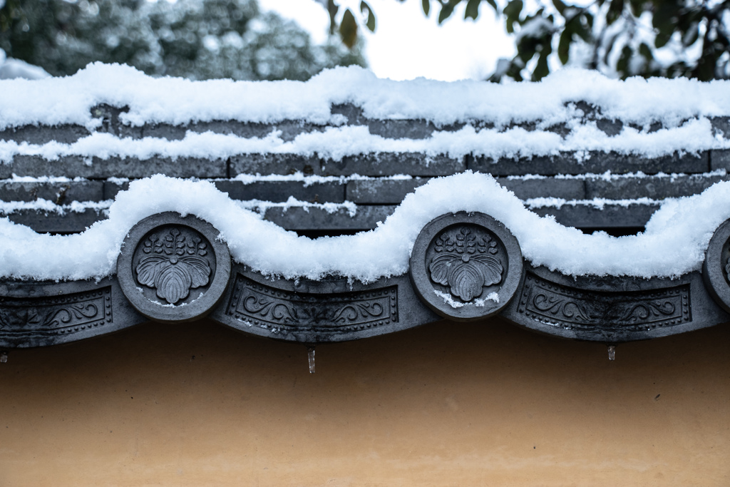 雪の金閣寺で。 ②