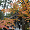 紅葉と水路閣