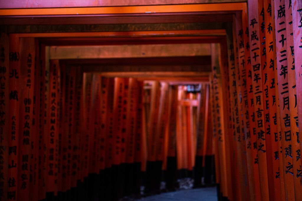 千本鳥居で　Ⅴ