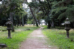 「天橋立神社への参道」