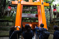 『千本鳥居で記念写真』