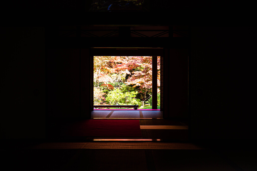 額縁の景色