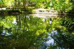 池の緑　－圓光寺