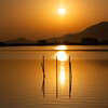 西の湖の夕暮れ　Ⅱ