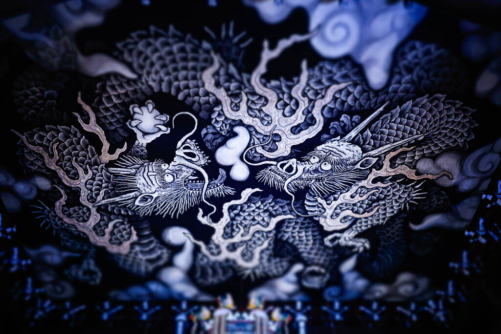 建仁寺法堂に棲む龍