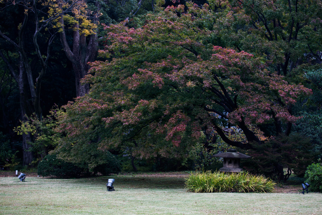 秋の六義園で。