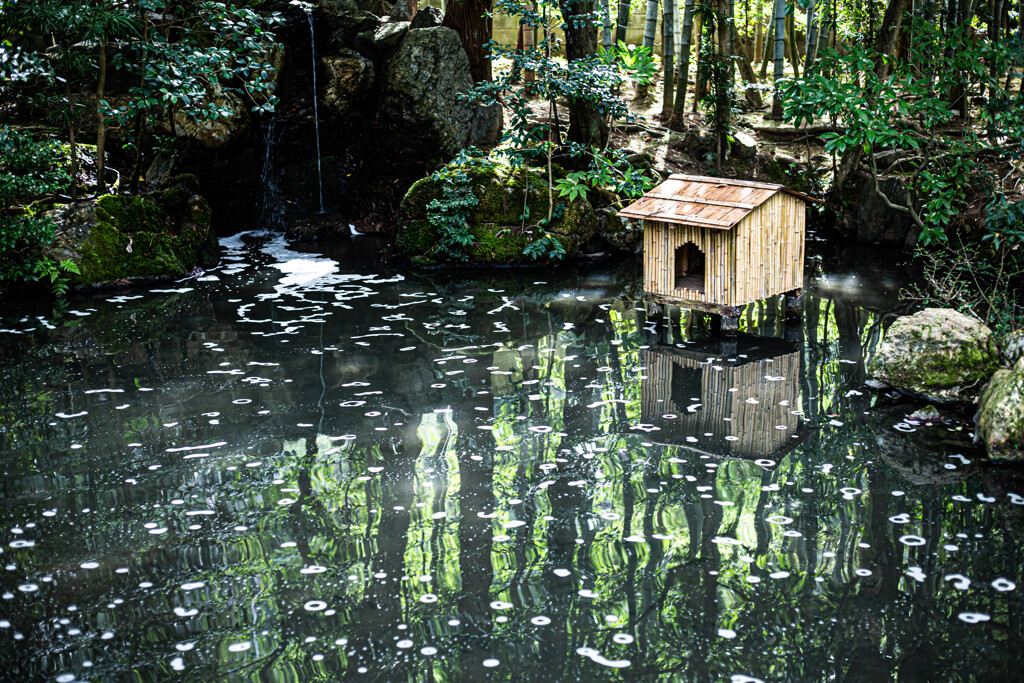 天授庵庭園の池　Ⅰ