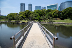 浜離宮恩賜庭園で。　Ⅱ