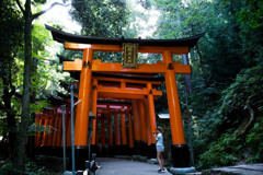 大きな鳥居の連なり　Ⅰ