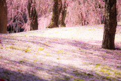 春の山