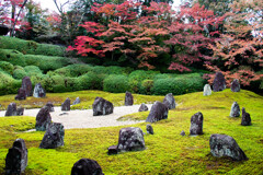 晩秋の光明院にて　Ⅰ