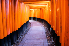 千本鳥居の朝　Ⅴ