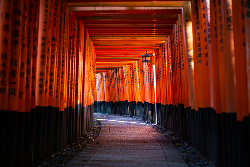 千本鳥居　Ⅱ