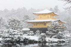 雪の金閣寺