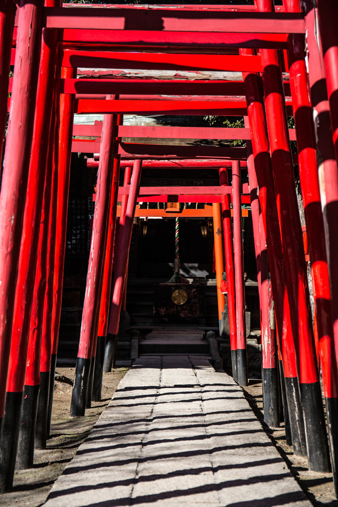 阿那稲荷神社の鳥居