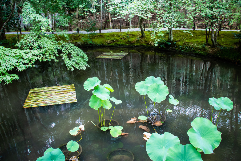 圓光寺にて　Ⅱ