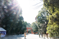 下鴨神社の参道で。