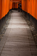 千本鳥居で。　Ⅳ