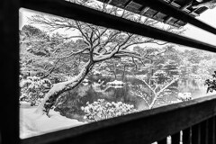 金閣寺 額縁の池の雪