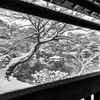 金閣寺 額縁の池の雪