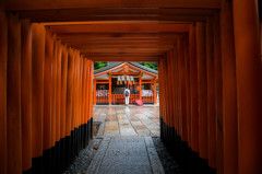 鳥居を抜けて。