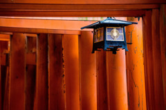 千本鳥居で。　Ⅵ